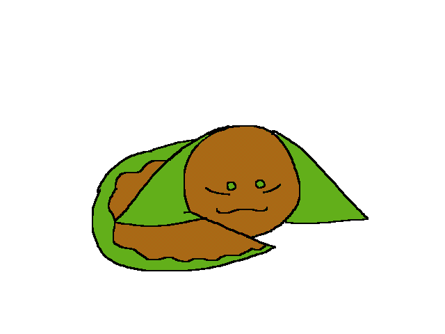 R a n d o m UwU