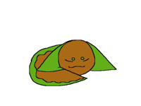 R a n d o m UwU