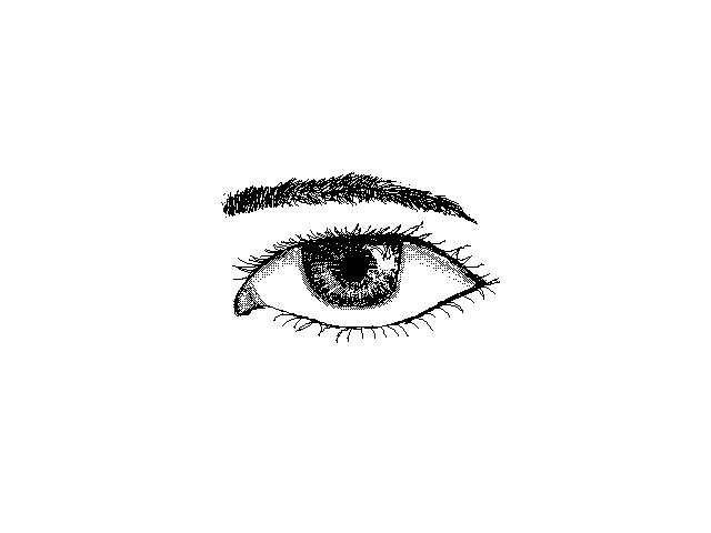 Eye