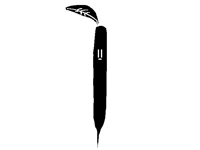 I’m Penciliy