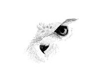 Black and white