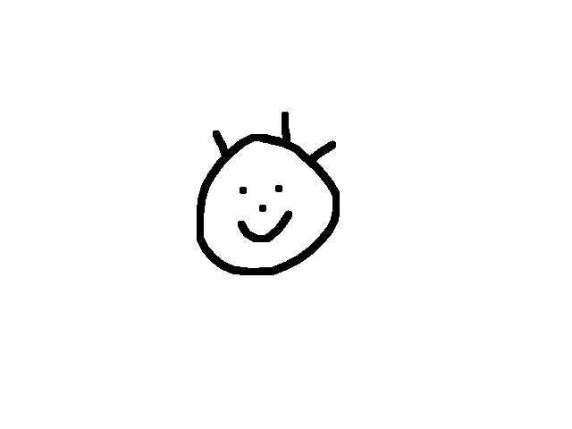 Face preview