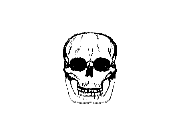 skull