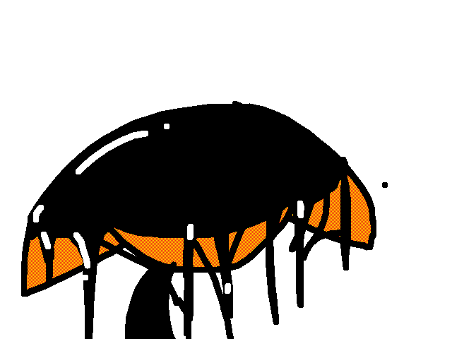 @inky_carrot watcing his parents