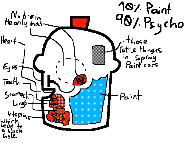 SP Anatomy