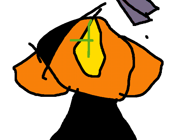 Wow a nose drawing