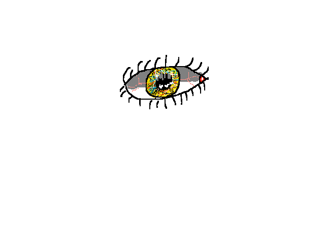 Eye