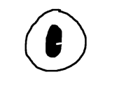 Eye ball