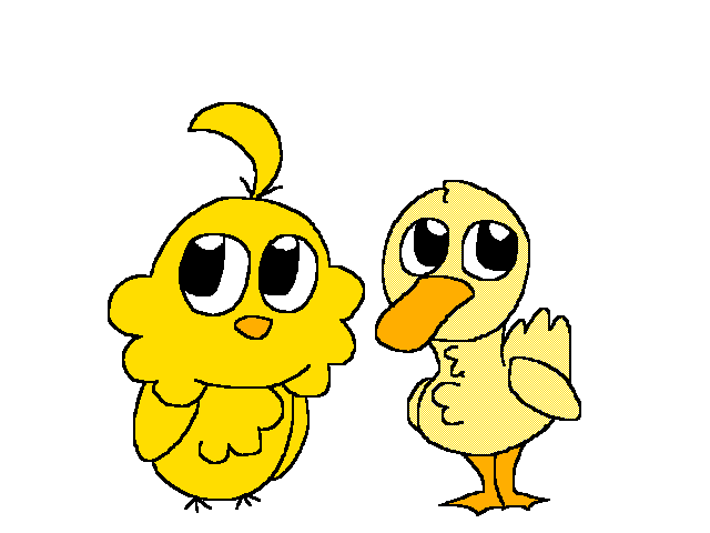 Chick and duck