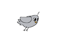 Pi fly