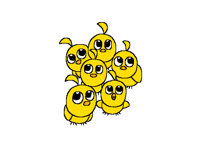 Chicks