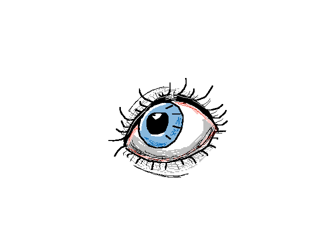 Eye