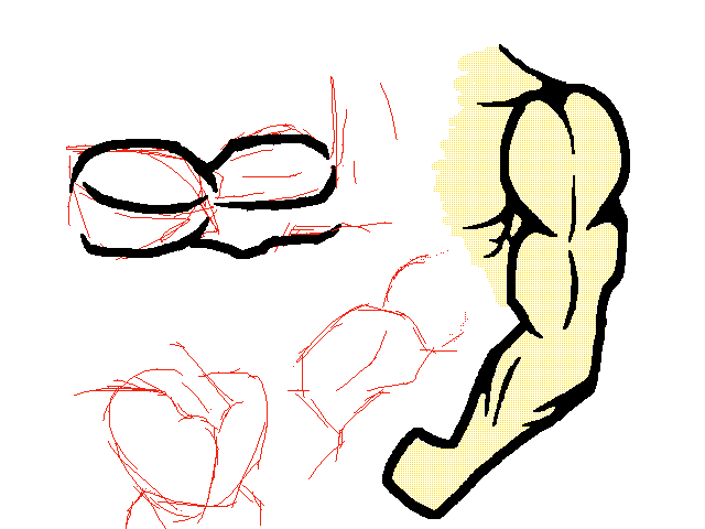 Anatomy practice sheet 1