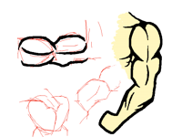 Anatomy practice sheet 1