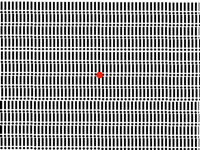 Optical illusion
