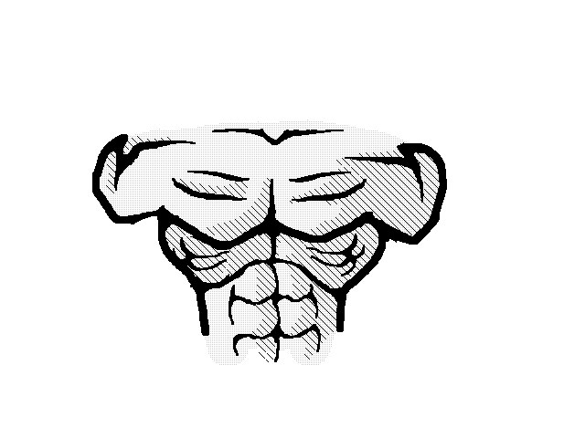 Anatomy (chest) shading