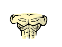 Anatomy (chest) shading