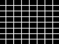 Grid + optical Illusion