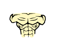Anatomy (chest)