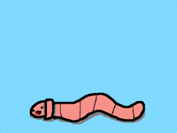 Wiggle worm