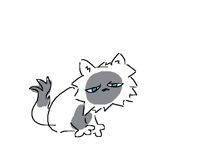 Persian cat