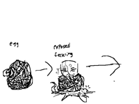 how xenophages are born