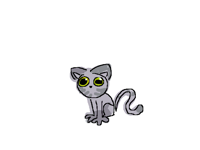 tabby cat