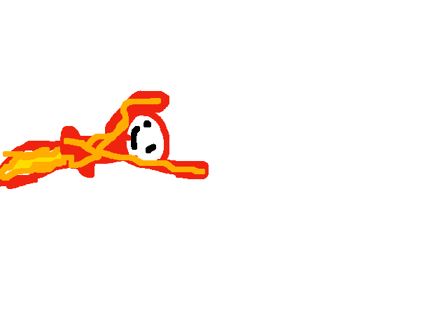 Fly simulator