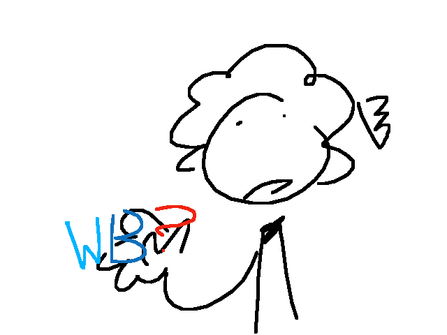 Should I do a wb