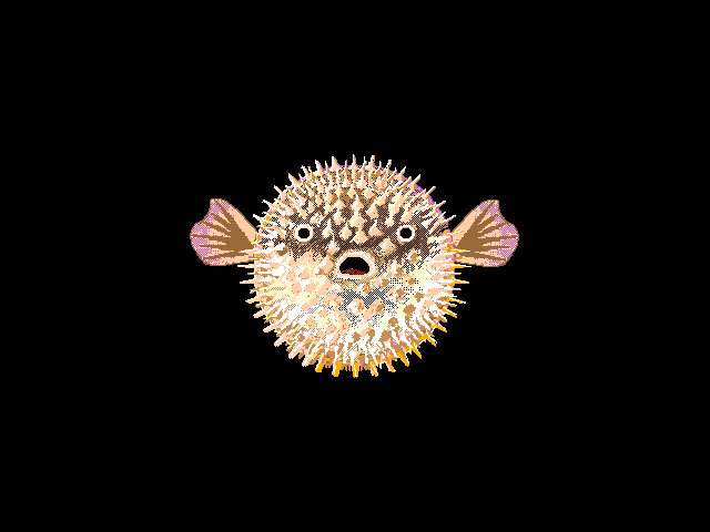 Blowfish updated - 𝐴𝑒𝑢𝑔ℎ!