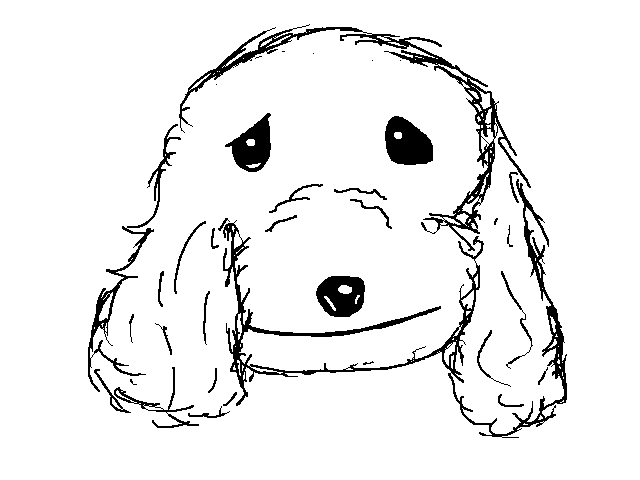 Doge