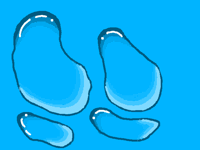 Water drops