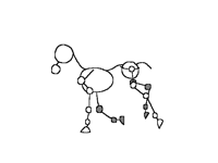 ~Horse canter~(first try)