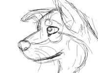 Like my Wolf?