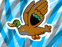 Flying duck