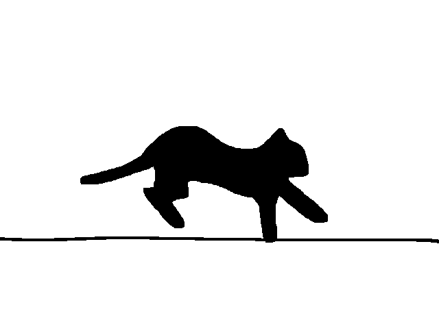 Cat sprint