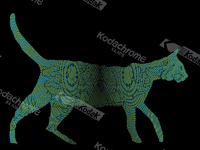 chrome cat