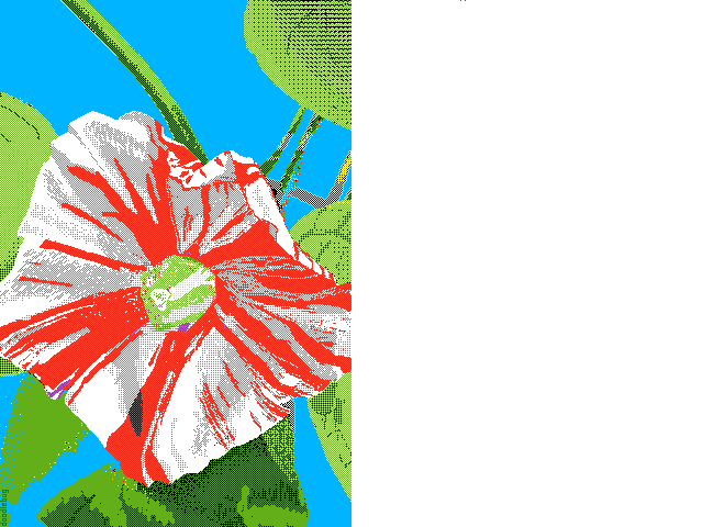 ipomoea     in your style