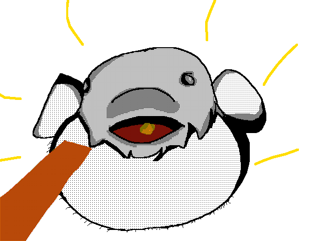 puffer fish and carrots