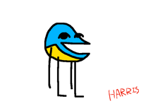 Please Ignore This For Your Safety