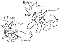 lr hands