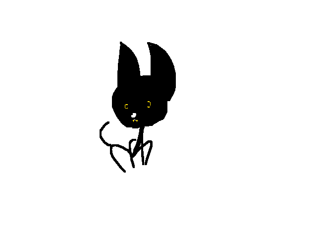 Harry cat