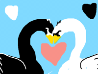 Swan love (idea by @Sluges)