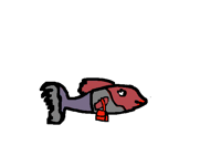 A b-day gift for @walterdalilfish