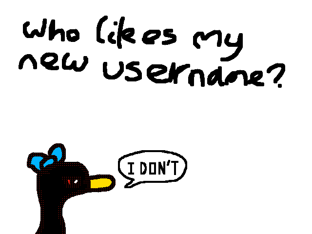 Who even likes my username lol