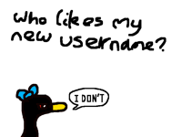 Who even likes my username lol