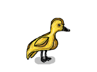 I drew a duck by memory