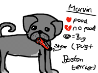 My dog :)