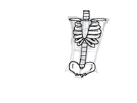 Skeleton practice (still working on it)