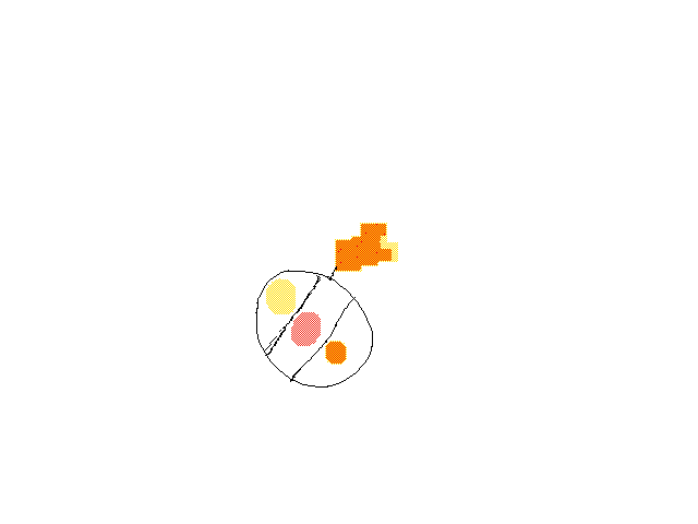 1 simple skin colour